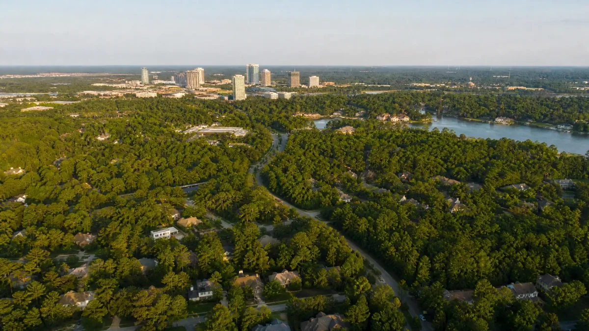 The Woodlands / North